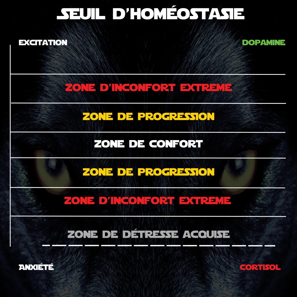 seuil homeostasie chien vision dog educateur canin 77