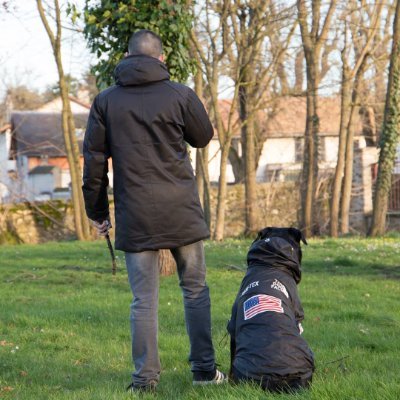 Educateur canin comportementaliste rottweiler